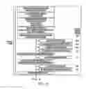 Fig. 02 - Consensus coding sequences of human breast and colorectal cancers