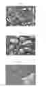 Fig. 02 - METHOD FOR PRODUCING NANO-CARBON COMPOSITE