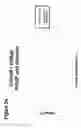 Fig. 03 - Undivided electrolytic cell and use thereof