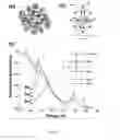 Fig. 02 - Methods and use of manipulating Au25 charge state