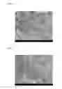 Fig. 02 - MODIFIED CELLULOSE NANOFIBER AND RESIN COMPOSITION INCLUDING MODIFIED CELLULOSE NANOFIBER