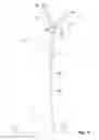 Fig. 19 - Self-Climbing Telescopic Crane and Method for Mounting Pre-Fabricated Concrete Towers