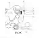 Fig. 05 - Door opening prevention device in broadside collision of vehicle