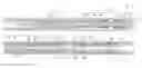 Fig. 01 - Mud motor