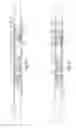Fig. 09 - Downhole apparatus and method