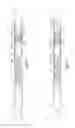 Fig. 09 - Downhole apparatus and method