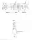 Fig. 02 - Single packers inlet configurations