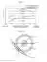 Fig. 11 - Combustion chamber structure for engine