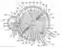 Fig. 01 - Rotary Engine Assembly