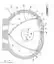 Fig. 02 - Rotary engine with rotor land