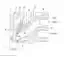 Fig. 01 - EXHAUST PASSAGE STRUCTURE FOR INTERNAL COMBUSTION ENGINE