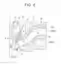 Fig. 06 - EXHAUST PASSAGE STRUCTURE FOR INTERNAL COMBUSTION ENGINE