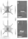 Fig. 07 - WIND POWER GENERATION UNIT AND WIND POWER GENERATION SYSTEM OF VERTICALLY STACKED TYPE