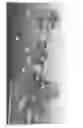 Fig. 06 - Dual mechanical seal with embedded bearing for volatile fluids