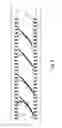 Fig. 05 - ROTARY COMPRESSOR PROVIDED WITH AT LEAST ONE SIDE CHANNEL