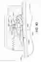 Fig. 41 - Conduit gripping device having retaining structure for conduit fitting