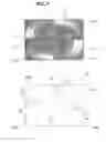 Fig. 06 - Light source module of lamp for vehicle