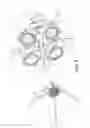 Fig. 06 - Lighting structure