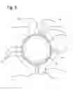 Fig. 07 - Hinged hand guard
