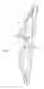 Fig. 02 - Compound bow mount