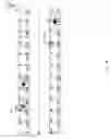 Fig. 07 - Carpenter's tape measure having function indicia