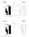 Fig. 04 - Angular and axial position sensor arrangement