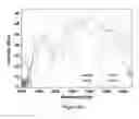 Fig. 08 - Optical fiber-based environmental detection system and the method thereof