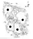 Fig. 02 - Chemical composition sensitive to temperature variations and method of production and use thereof