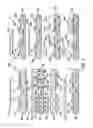 Fig. 02 - Scalable liposome microarray screening