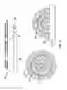 Fig. 04 - Scalable liposome microarray screening