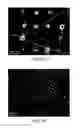 Fig. 22 - Scalable liposome microarray screening