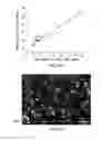 Fig. 28 - Scalable liposome microarray screening