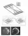Fig. 01 - Nanostructured microelectrodes and biosensing devices incorporating the same