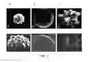 Fig. 07 - Nanostructured microelectrodes and biosensing devices incorporating the same