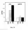 Fig. 19 - Nanostructured microelectrodes and biosensing devices incorporating the same