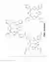 Fig. 13 - Highly selective coated-electrode nanogap transducers for the detection of redox molecules