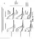 Fig. 14 - Highly selective coated-electrode nanogap transducers for the detection of redox molecules