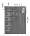 Fig. 50 - ACTIVE CHEMICALLY-SENSITIVE SENSORS WITH IN-SENSOR CURRENT SOURCES
