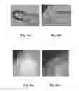 Fig. 03 - Method of sampling oil-bearing inclusion