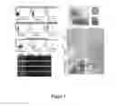 Fig. 04 - CANCER STEM CELLS AND METHODS OF USING THE SAME