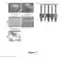 Fig. 08 - CANCER STEM CELLS AND METHODS OF USING THE SAME