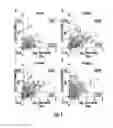 Fig. 02 - METHODS FOR IDENTIFYING PATTERNS OF IFN INDUCED EXPRESSION AND USE IN DIAGNOSIS, MONITORING AND THERAPY