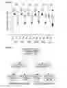Fig. 07 - METHOD FOR DETERMINING IF A SUBJECT HAS AN INCREASED LIKELIHOOD OF HIGH GRADE DYSPLASIA OR ESOPHAGEAL ADENOCARCINOMA