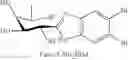 Fig. 101 - COMPOUNDS AND METHODS FOR ANALYSIS AND SYNTHESIS OF SACCHARIDE COMPOUNDS