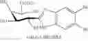 Fig. 103 - COMPOUNDS AND METHODS FOR ANALYSIS AND SYNTHESIS OF SACCHARIDE COMPOUNDS
