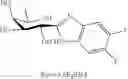 Fig. 30 - COMPOUNDS AND METHODS FOR ANALYSIS AND SYNTHESIS OF SACCHARIDE COMPOUNDS