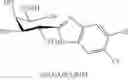 Fig. 81 - COMPOUNDS AND METHODS FOR ANALYSIS AND SYNTHESIS OF SACCHARIDE COMPOUNDS