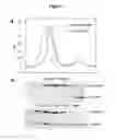 Fig. 02 - BIOORTHOGONAL CHEMICAL INDUCERS OF REVERSIBLE DIMERIZATION FOR CONTROL OF PROTEIN FUNCTION IN CELLS