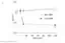 Fig. 07 - BIOORTHOGONAL CHEMICAL INDUCERS OF REVERSIBLE DIMERIZATION FOR CONTROL OF PROTEIN FUNCTION IN CELLS