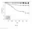 Fig. 08 - Cardiovascular Risk Event Prediction and Uses Thereof